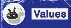Values